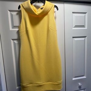 American Living dress NWT